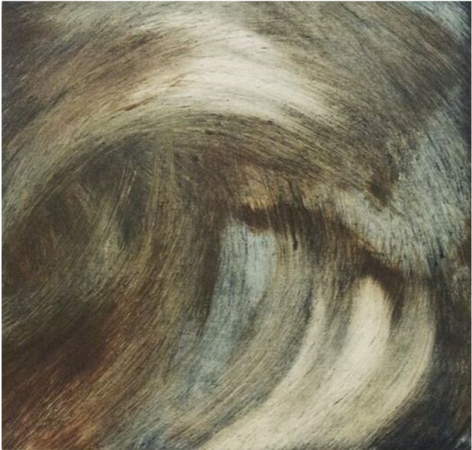 Marcela Fernández Cantú 101