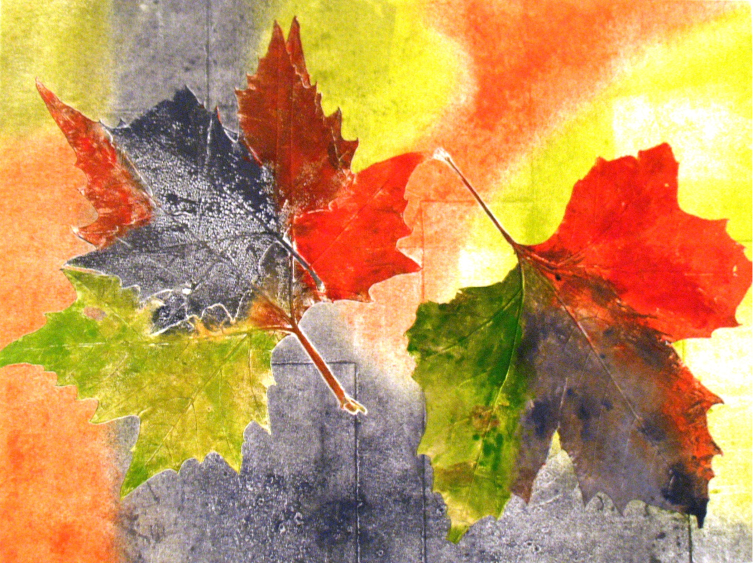 Marcela Fernández Cantú 105