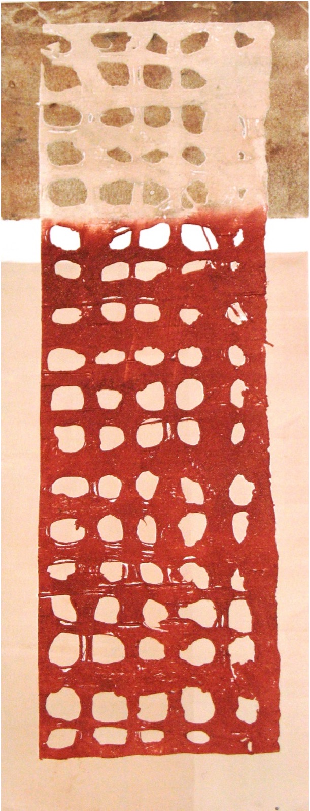 Marcela Fernández Cantú 106