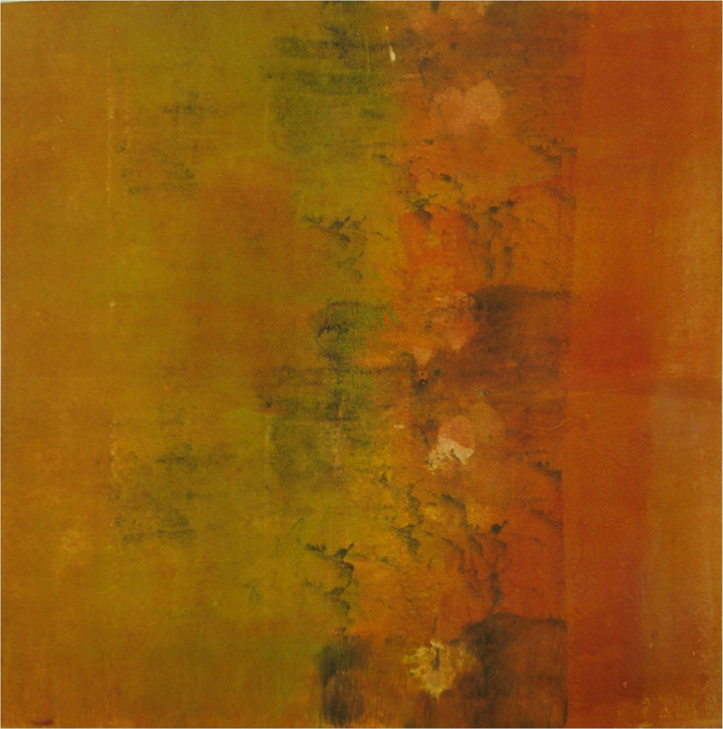 Marcela Fernández Cantú 113