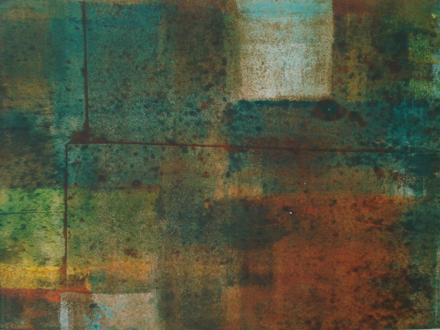 Marcela Fernández Cantú 114