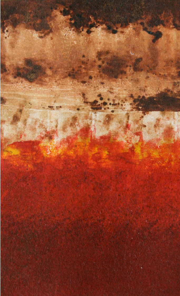 Marcela Fernández Cantú 117