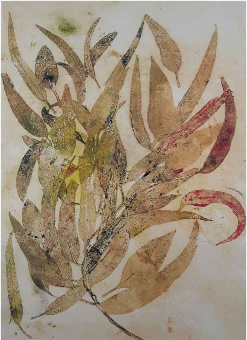 Marcela Fernández Cantú 122