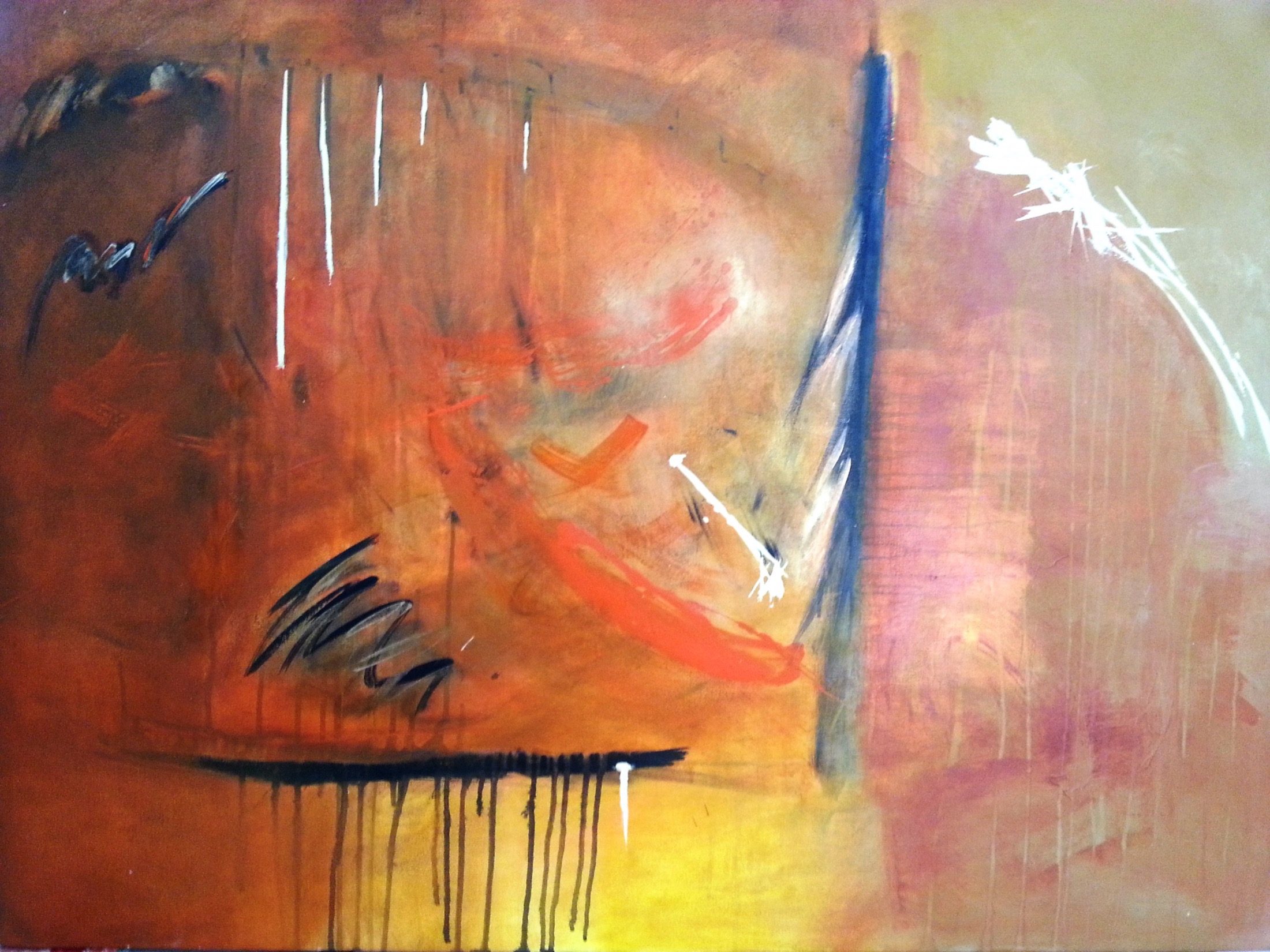 Marcela Fernández Cantú 123