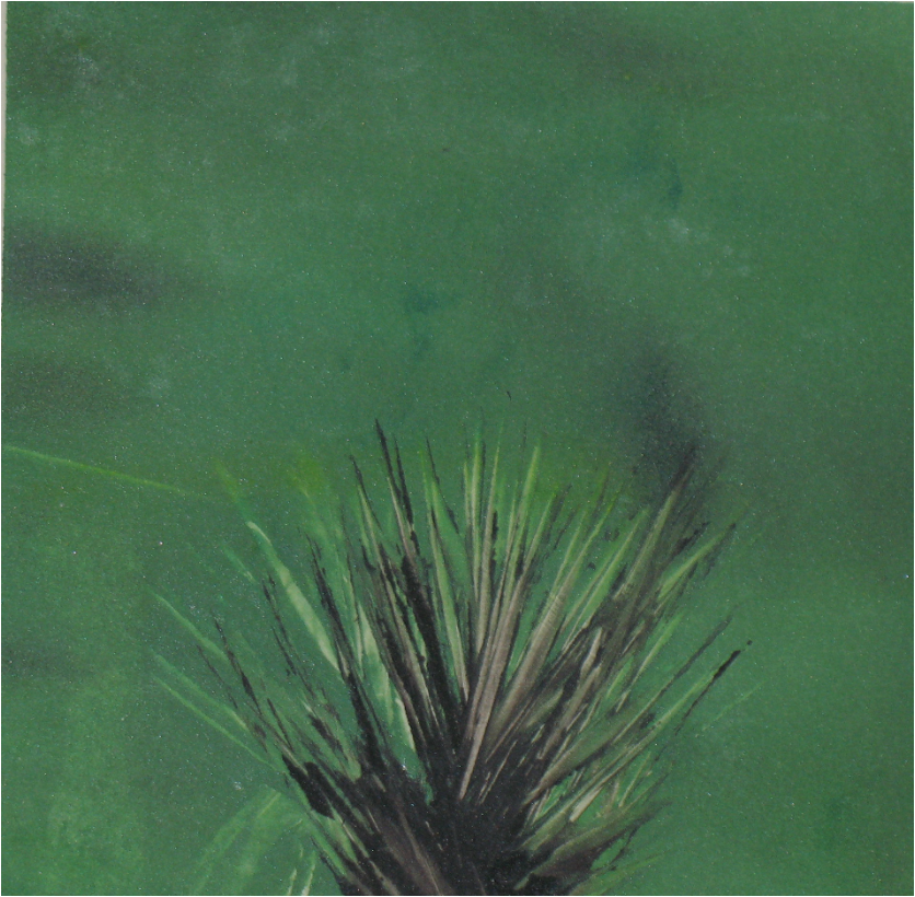 Marcela Fernández Cantú 15