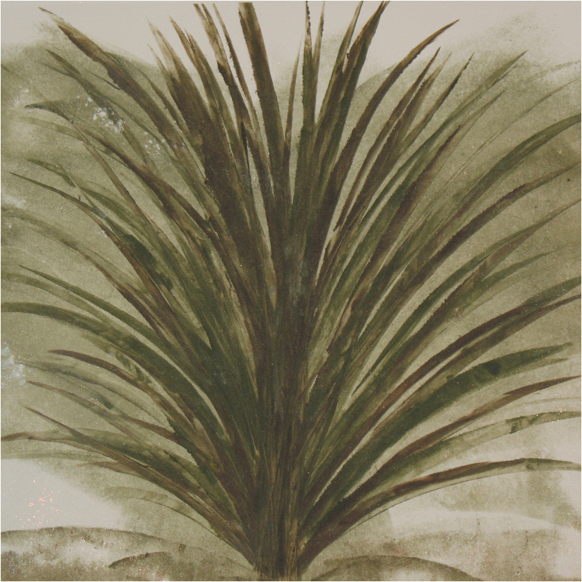 Marcela Fernández Cantú 16