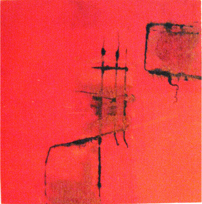 Marcela Fernández Cantú 19