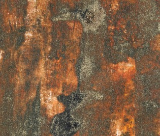 Marcela Fernández Cantú 4