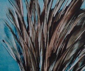 Marcela Fernández Cantú 6