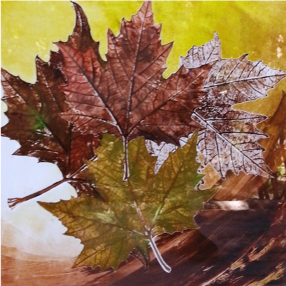 Marcela Fernández Cantú 82