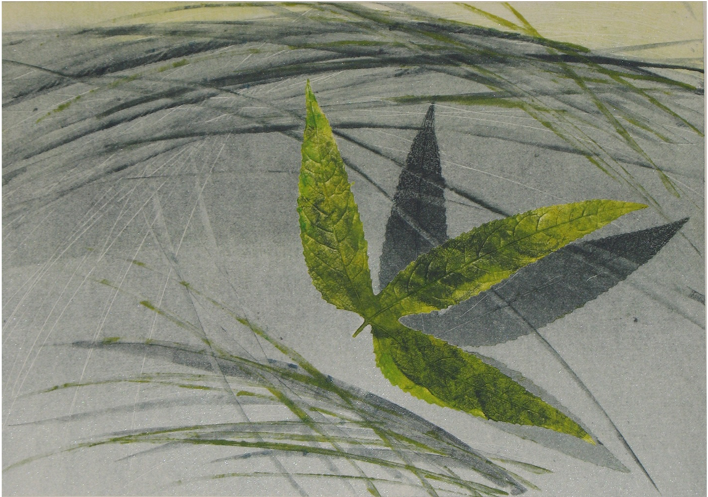 Marcela Fernández Cantú 83