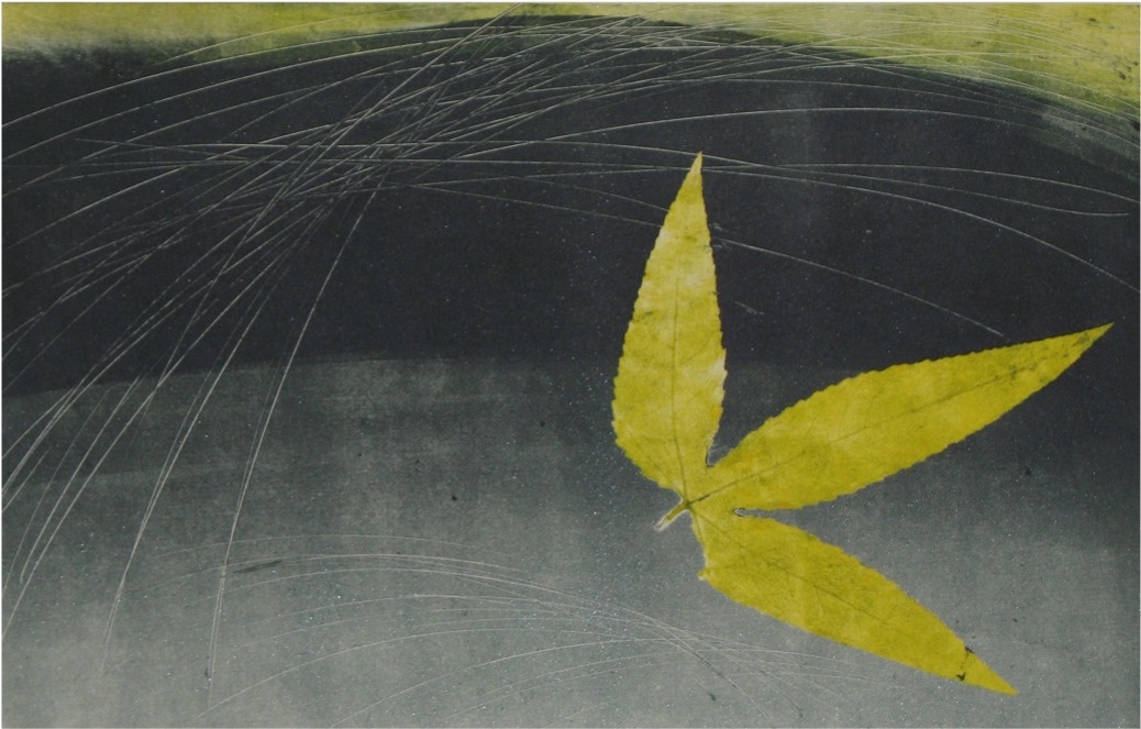 Marcela Fernández Cantú 85