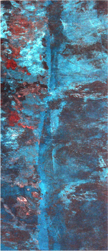 Marcela Fernández Cantú 86