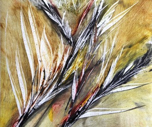 Marcela Fernández Cantú 9