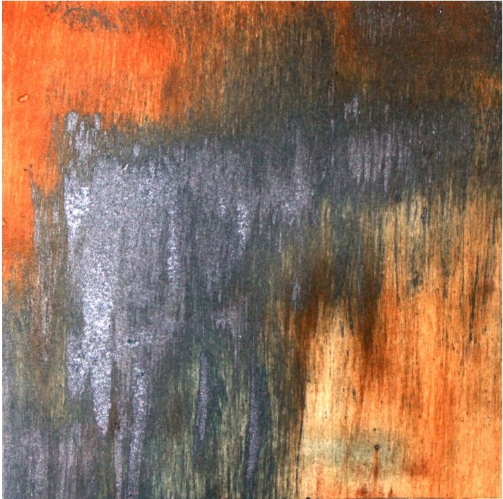 Marcela Fernández Cantú 97